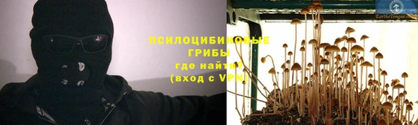 прущая мука Саяногорск