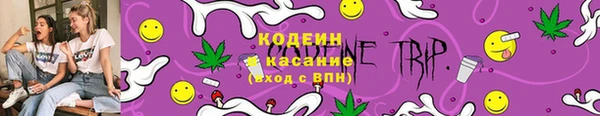 СК Сафоново