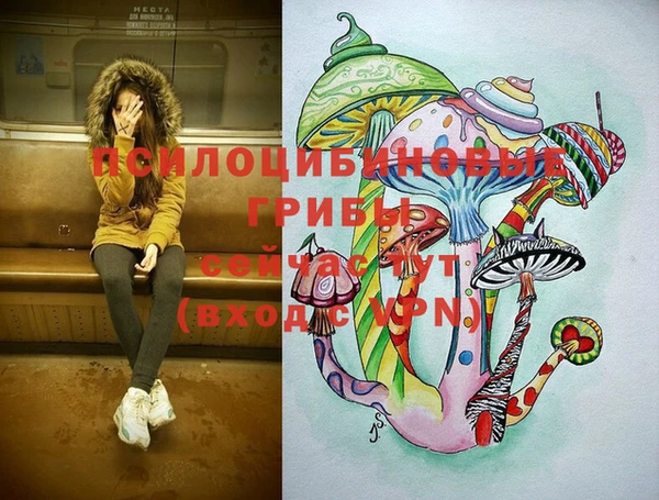 прущая мука Саяногорск